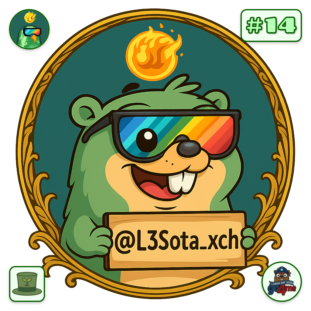 L3Sota_xch avatar